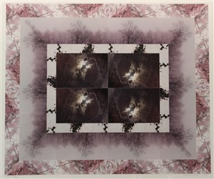 Responding to the Land